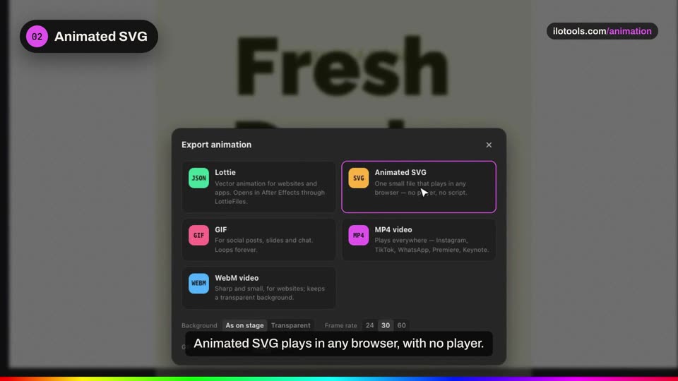 Every export, explained.: a step of the tutorial on the real software